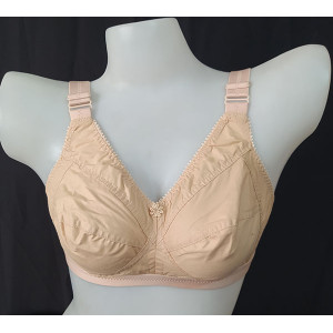Guddi Nude Color Thick Strap Bra
