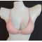 Light Pink Chinese Bra
